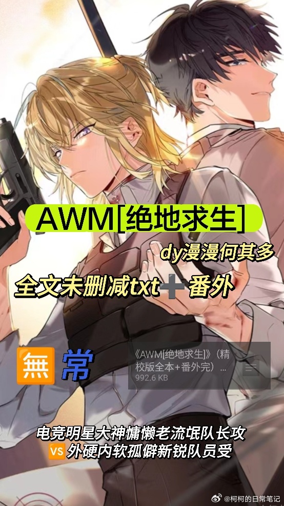 好看的絕地求生小說前十名