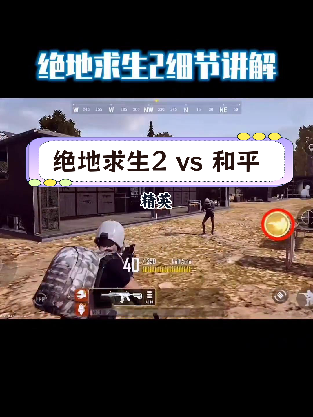 小編分析總結